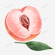 WWW,se309·COM网站APPAPP应用