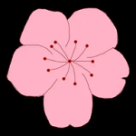 WWW,241se·COM网站APPAPP应用